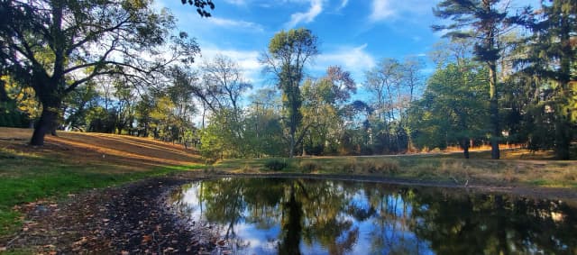 A serene park scene with a small pond reflecting tall green trees under a bright blue sky. The sun casts warm light on the autumnal landscape.